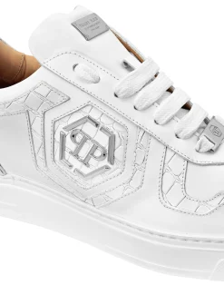 PHILIPP PLEIN Low Top Sneakers><noscript><img data-lazyloaded=